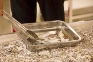 Pengambilan Kerangka